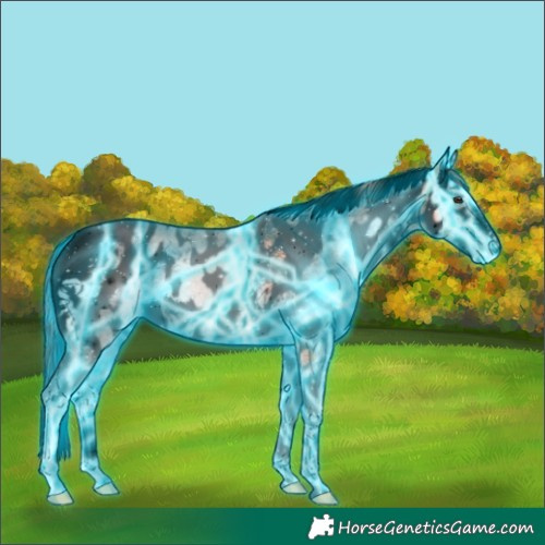Horse Color:Void Platinum Thunderstruck Red Onyx Ice Tobiano Frame Appaloosa