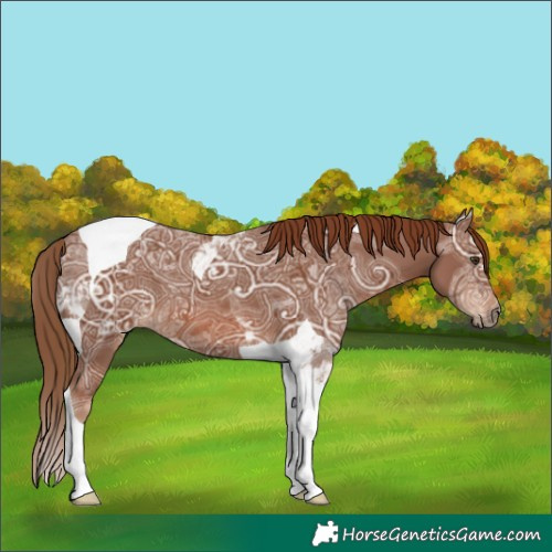 Horse Color:Chestnut Ice Tobiano 