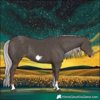 Horse Color:Silver Black Tobiano Frame 