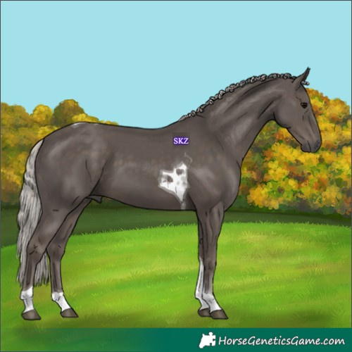 Horse Color:Silver Black Tobiano 