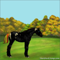 Horse Color:Void Painted White Spotted Smoky Black Pearl Splash Tobiano Appaloosa Rabicano 