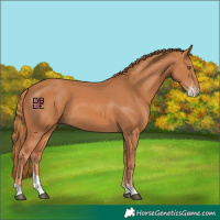 Horse Color:Chestnut Sabino 