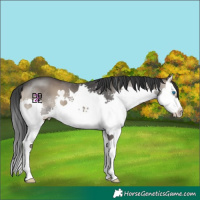 Horse Color:Blue Onyx Splash 
