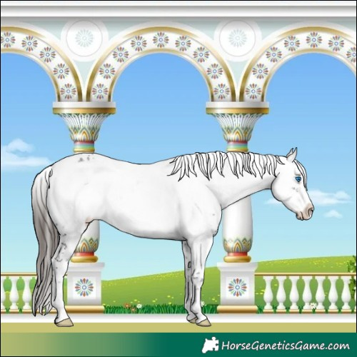 Horse Color:Liver Chestnut Frame 