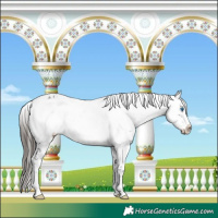 Horse Color:Liver Chestnut Frame 
