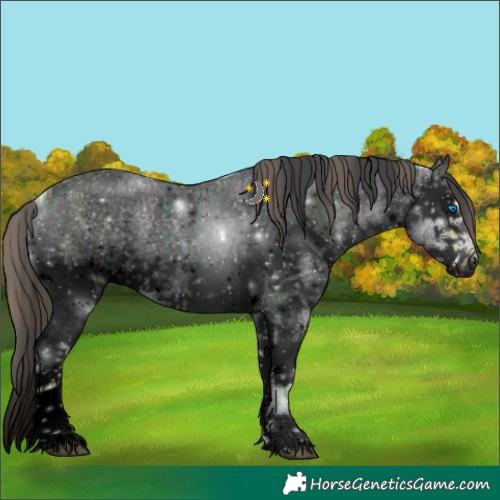 Horse Color:Void Plaid Blue Onyx Ice Roan Splash