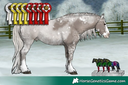 Horse Color:White Spotted Silver Black Ice Sabino Splash 