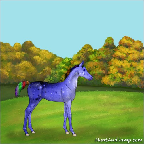 Horse Color:ERROR: UNKNOWN ANOMALY