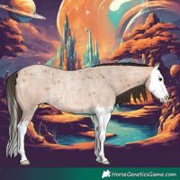 Horse Color:Bay Roan Dun Splash Rabicano