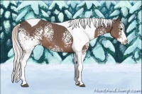 Horse Color:White Spotted Silver Black Splash Tobiano 
