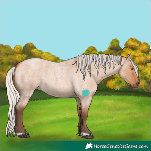 Horse Color:Silver Bay Roan Dun