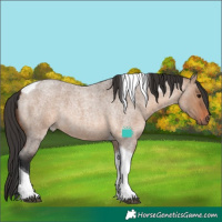 Horse Color:Brown Roan Dun Tobiano