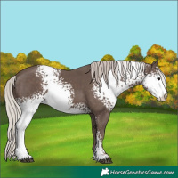 Horse Color:White Spotted Silver Black Varnish 