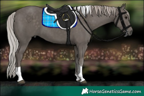 Horse Color:Silver Black Tobiano 