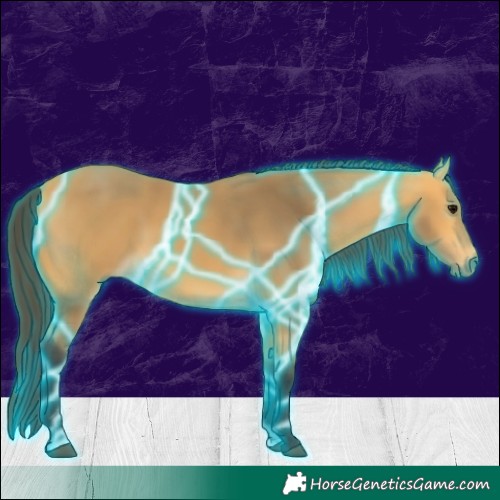 Horse Color:Thunderstruck Buckskin 