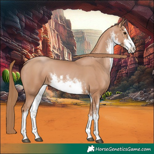 Horse Color:White Spotted Chocolate Black Pearl 