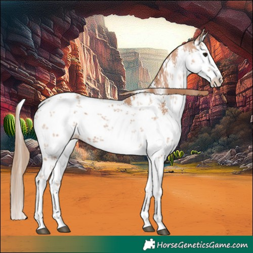 Horse Color:White Spotted Chocolate Black Pearl Sabino 