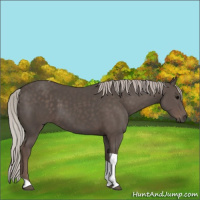 Horse Color:Silver Black Tobiano