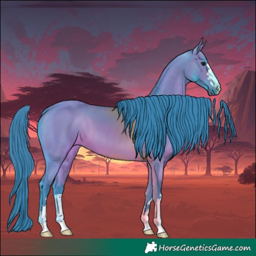 Horse Color:Watercolor Bay 