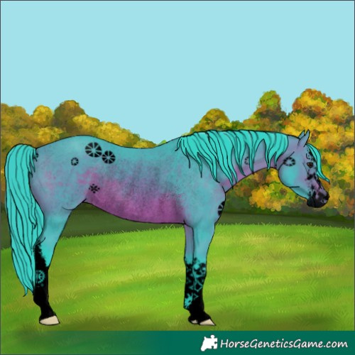 Horse Color:Void Watercolor White Spotted Brown Rabicano