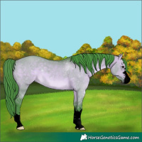 Horse Color:Void Watercolor Brown Dun 