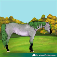 Horse Color:Void Watercolor Brown Dun 