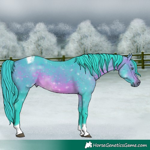 Horse Color:Watercolor Brown Chinchilla Tobiano 