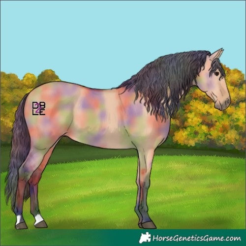 Horse Color:Nacre Bay Dun