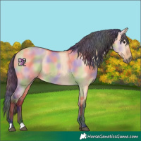 Horse Color:Nacre Bay Dun