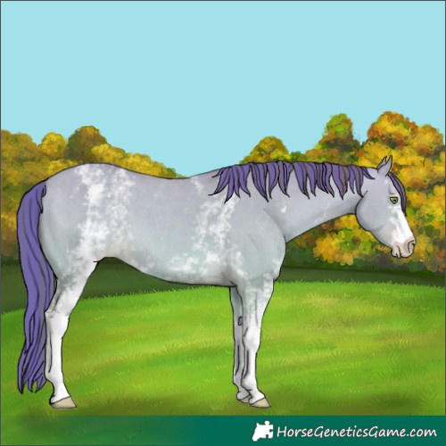 Horse Color:Platinum Painted White Spotted Amber Champagne Dun Varnish 