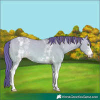 Horse Color:Platinum Painted White Spotted Amber Champagne Dun Varnish 