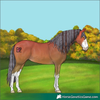 Horse Color:Platinum Painted White Spotted Amber Champagne