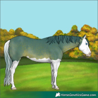 Horse Color:Watercolor Brown Splash