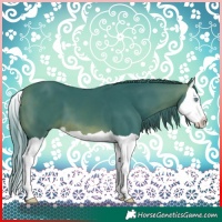 Horse Color:Watercolor Brown Splash 