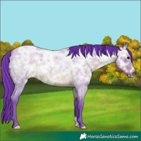 Horse Color:Watercolor Brown Ice Roan 