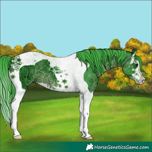 Horse Color:Watercolor White Spotted Black Ice Splash Tobiano