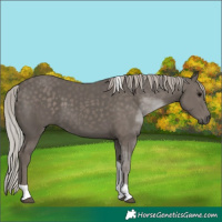 Horse Color:Silver Black Tobiano 