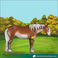 Horse Color:Silver Brown Sabino Splash Tobiano 