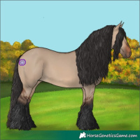 Horse Color:Brown Dun