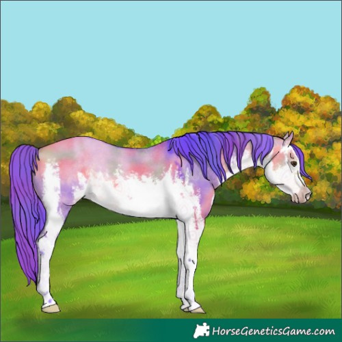 Horse Color:Nacre Watercolor White Spotted Buckskin Dun 
