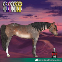 Horse Color:Brown 