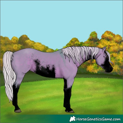 Horse Color:Void Watercolor White Spotted Silver Grullo Rabicano