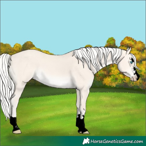 Horse Color:Void Silver Perlino Dun