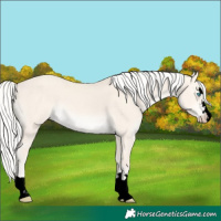 Horse Color:Void Silver Perlino Dun 