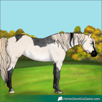 Horse Color:Void Perlino Splash Tobiano 