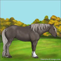 Horse Color:Silver Black Tobiano 