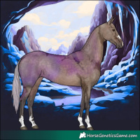 Horse Color:Silver Brown Ice Dun 