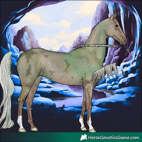 Horse Color:Silver Grullo Ice 