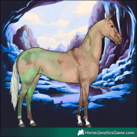 Horse Color:Silver Bay Ice Dun