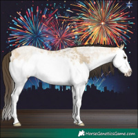 Horse Color:Buckskin Ice Roan Dun Splash 